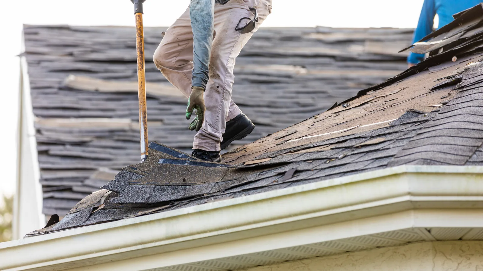 Tear-off shovel in a roofer's hands stripping old shingles off a roof