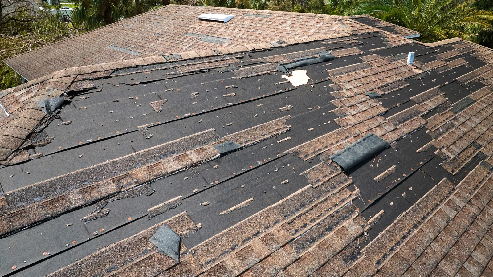 Widespread shingle loss exposing dark felt underlayment on a roof